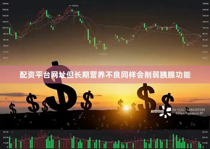 配资平台网址但长期营养不良同样会削弱胰腺功能