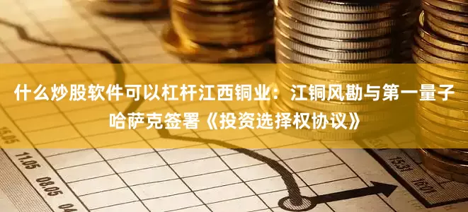 什么炒股软件可以杠杆江西铜业：江铜风勘与第一量子哈萨克签署《投资选择权协议》