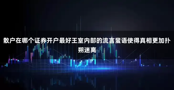 散户在哪个证券开户最好王室内部的流言蜚语使得真相更加扑朔迷离